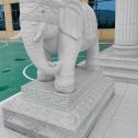 吉林市 白麻花岗岩动物异形石雕-大象