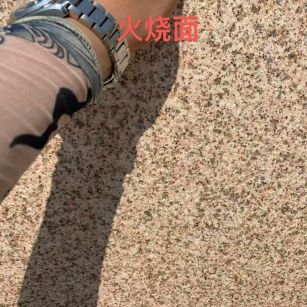 吉林市黄金麻火烧面